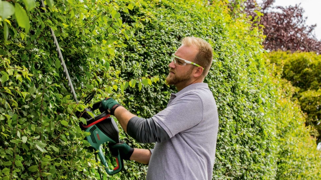 Кущоріз електричний BOSCH UniversalHedgeCut 50 (06008C0501)